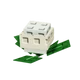 Cauliflower